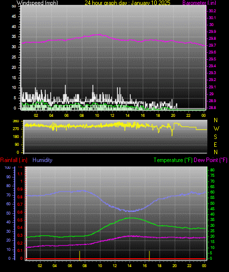 24 Hour Graph for Day 10