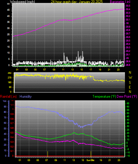 24 Hour Graph for Day 20